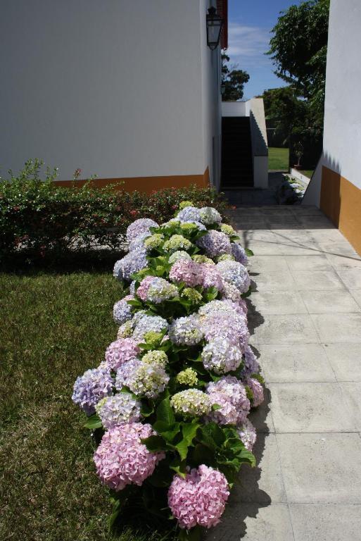 Quinta De Sao Caetano - Sao Miguel Acores Populo  객실 사진